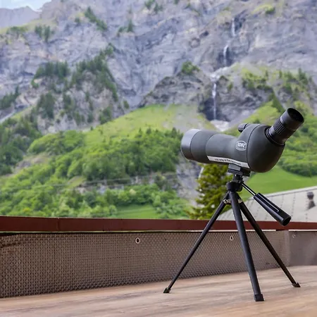 Lucky Fox Apartman *