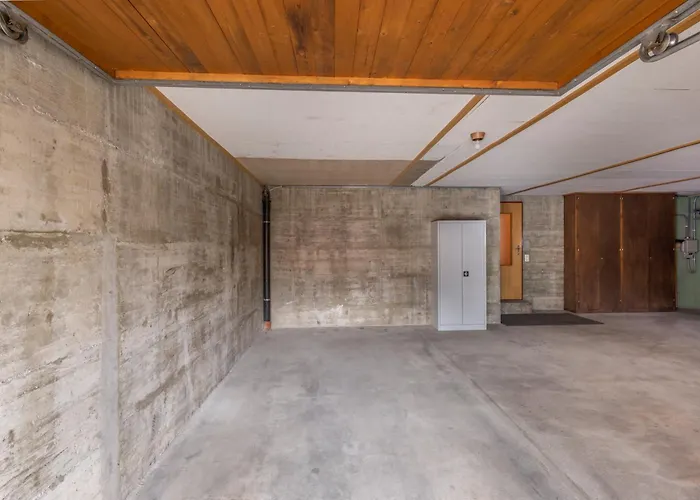 Lucky Fox * 로이커바드