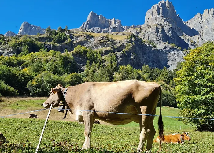 Apartamento Lucky Fox