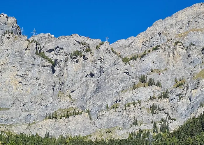 Lucky Fox 아파트 로이커바드